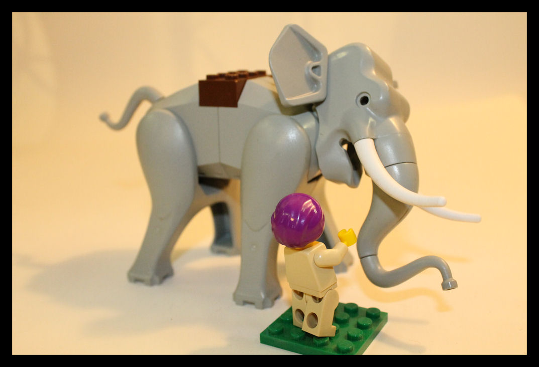 img_3089aa.jpg