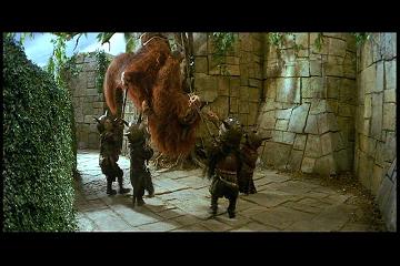 pdvd_007a.jpg