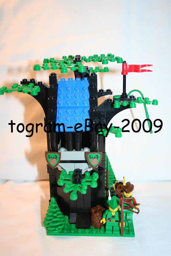 forest1.copy.jpg