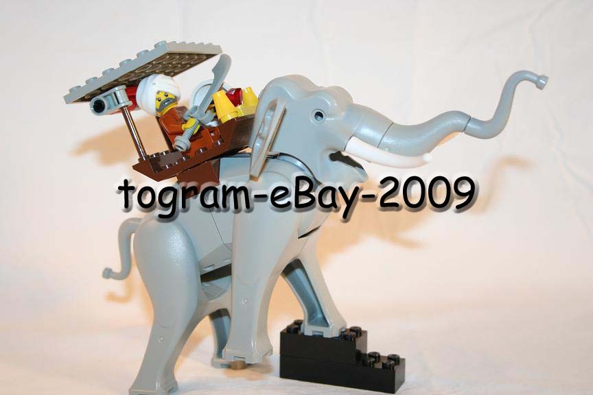elephant1.copy.jpg