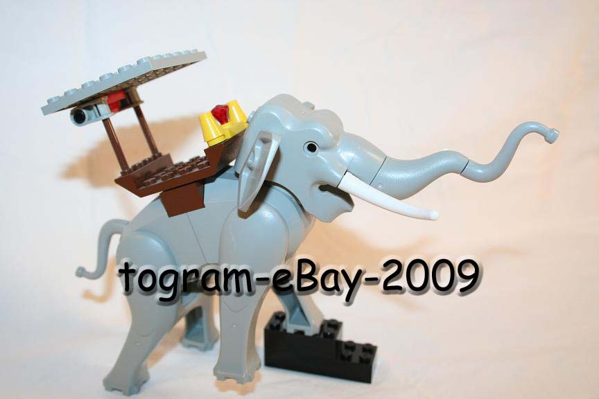 elephant4.copy.jpg