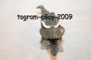 ceratops2.copy.jpg