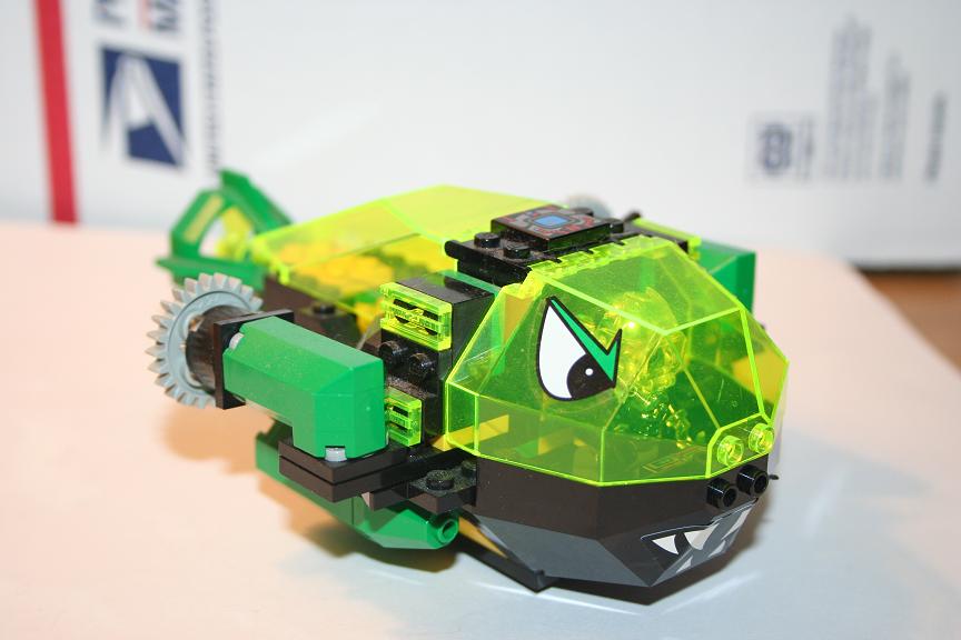 frog1.jpg