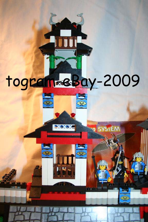 ninja2_copy.jpg