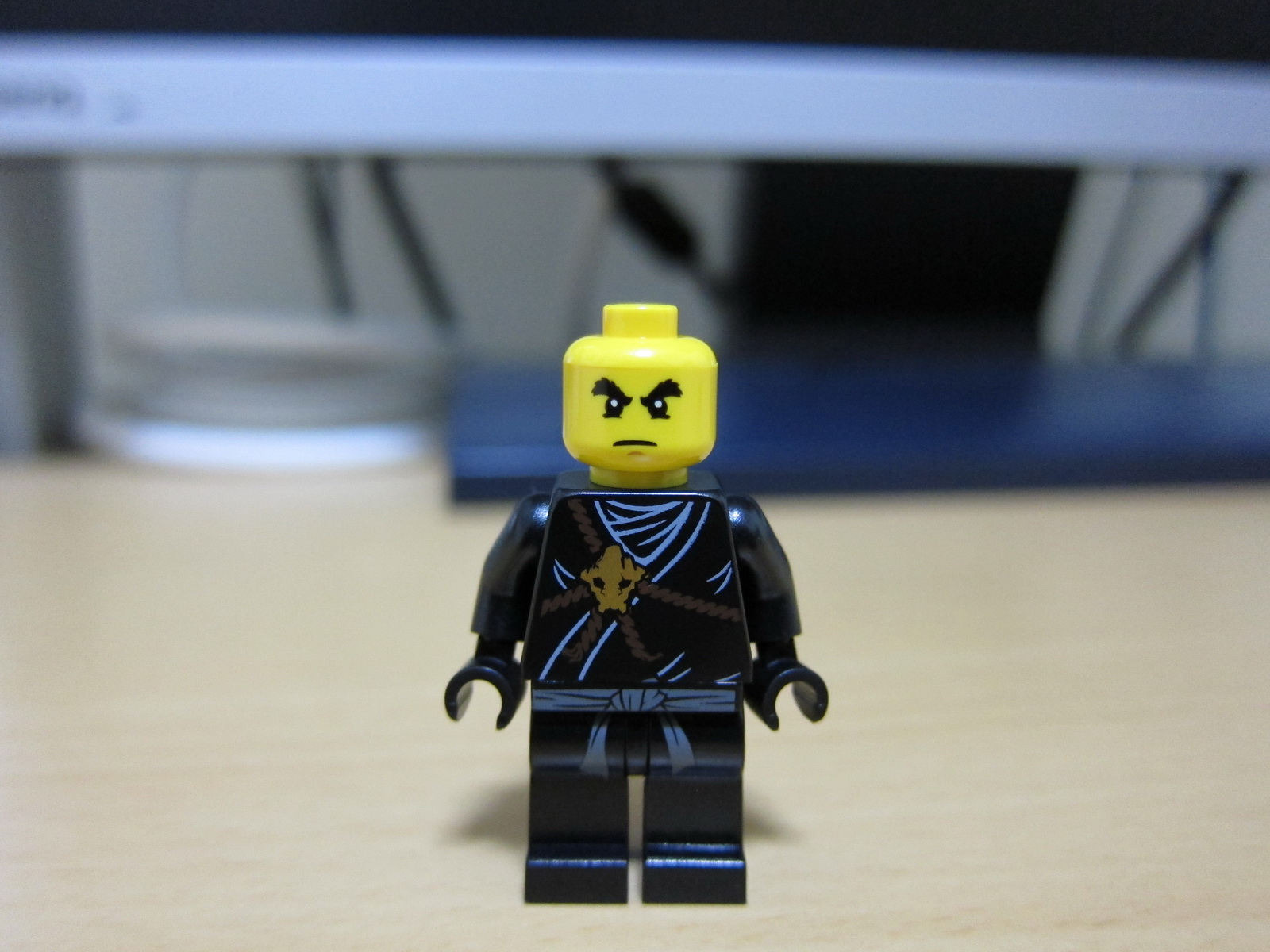 2516005.jpg