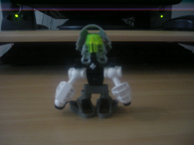 matoran-back.jpg