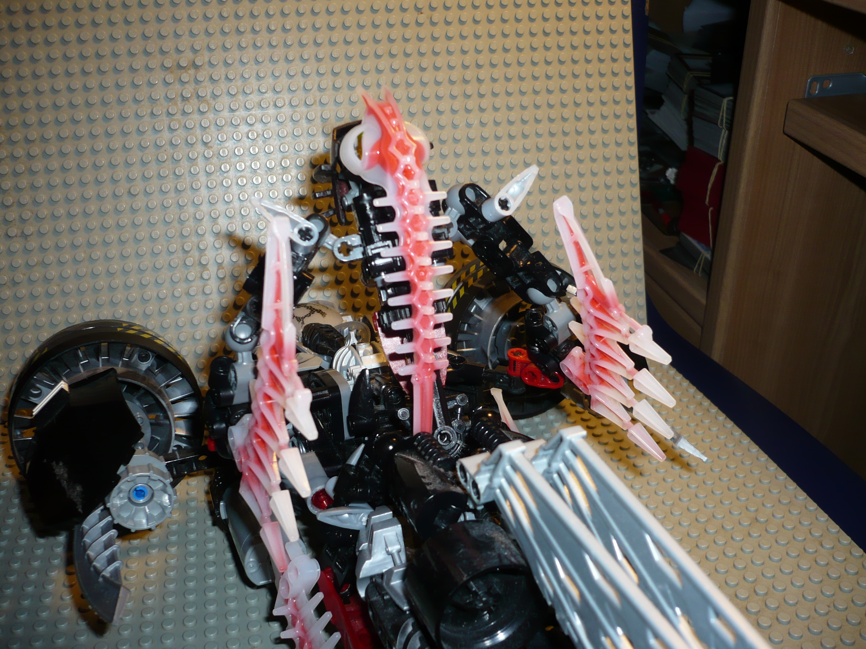 p1000840.jpg