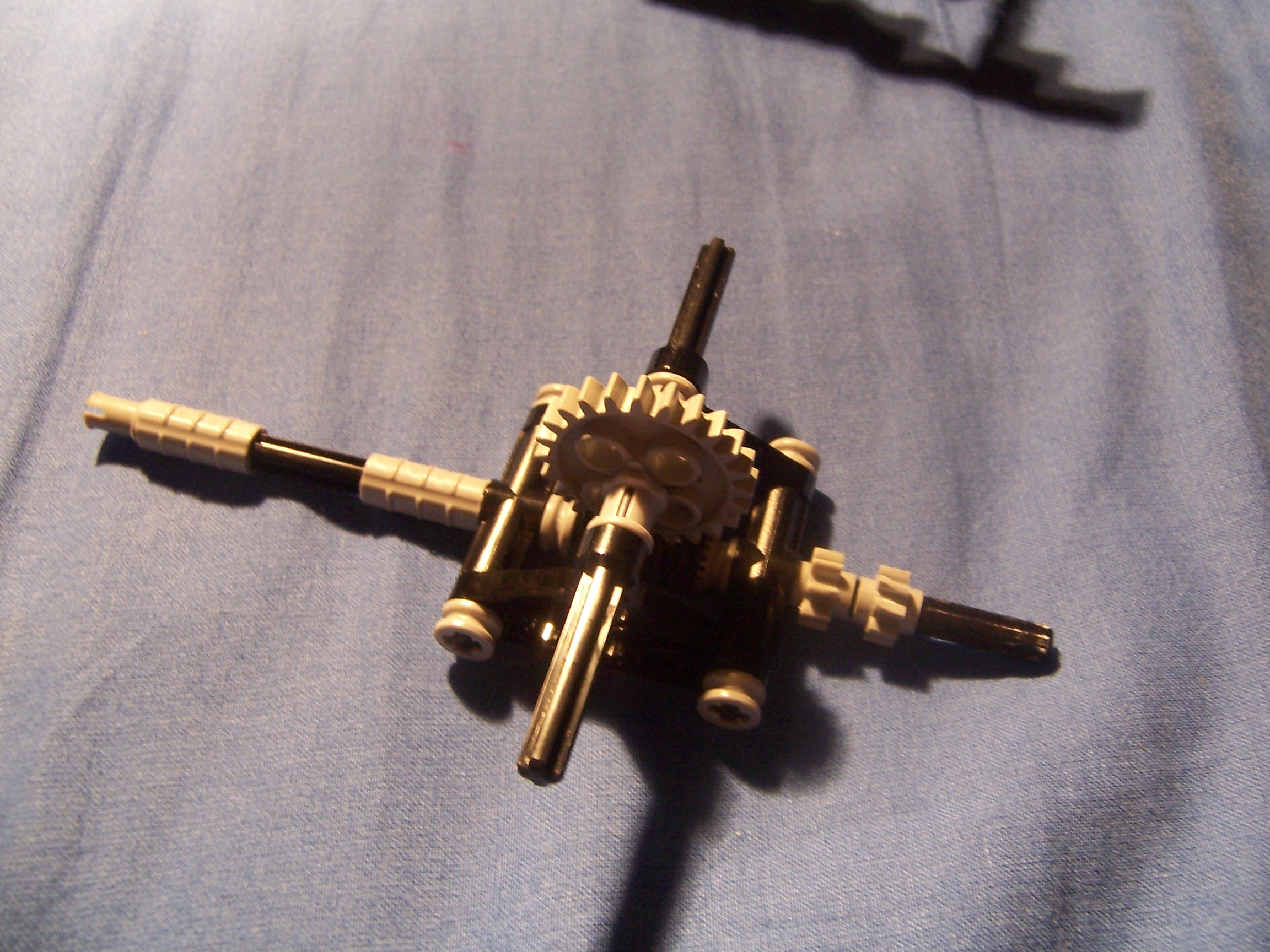 100_3957.jpg