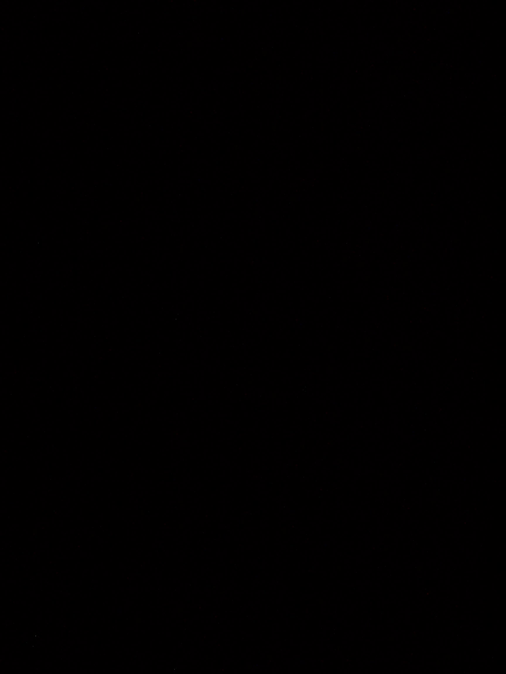 100_4029.jpg