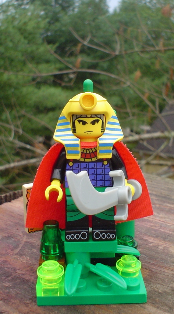 dsc08027.jpg