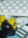 story2-4_006a.jpg