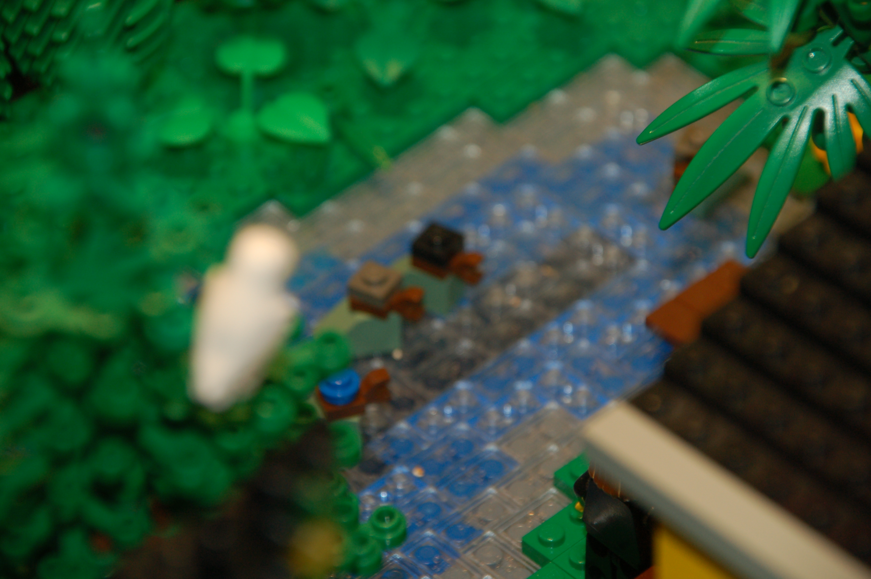 dsc_0132.jpg