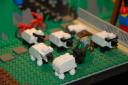 dsc_0134.jpg