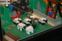 dsc_0135.jpg