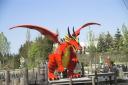 dragon.jpg