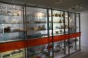 museum7.jpg