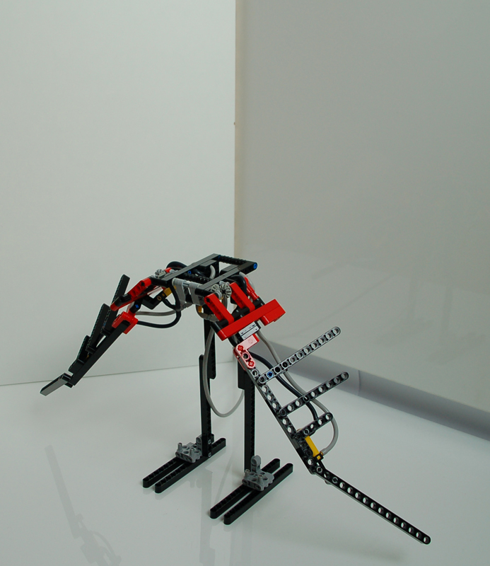 dsc_4290s.jpg