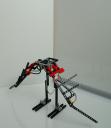 dsc_4290s.jpg