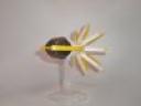 liliaceae-03.jpg