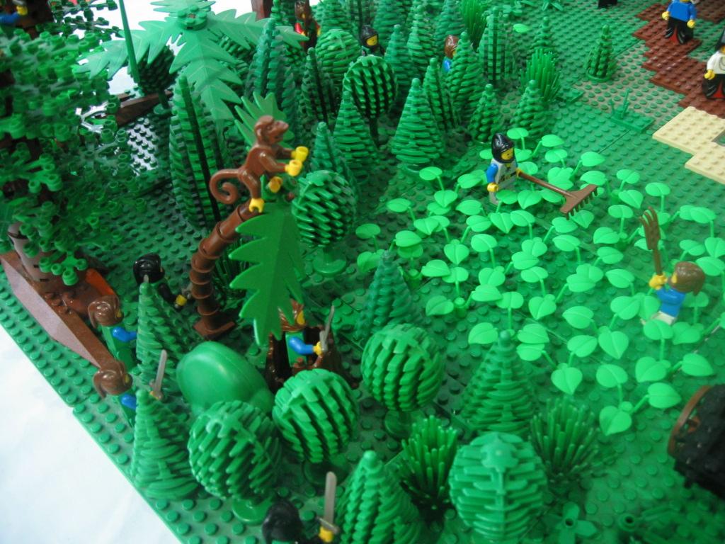 imm_086.jpg