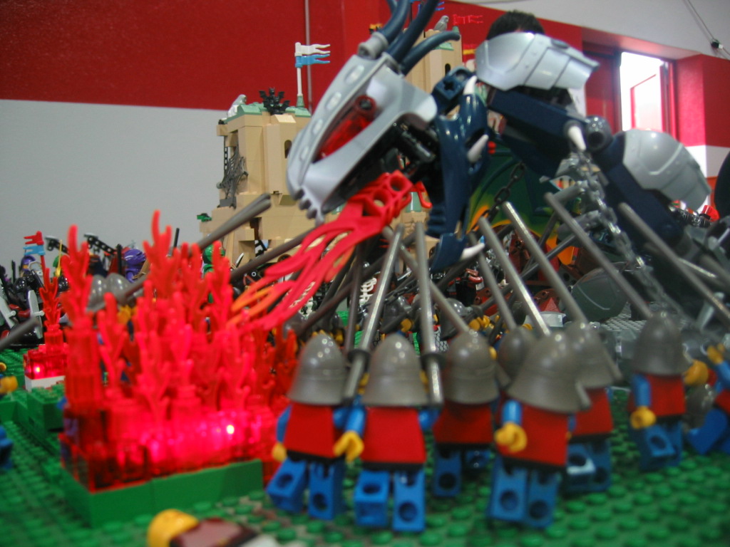 imm_115.jpg