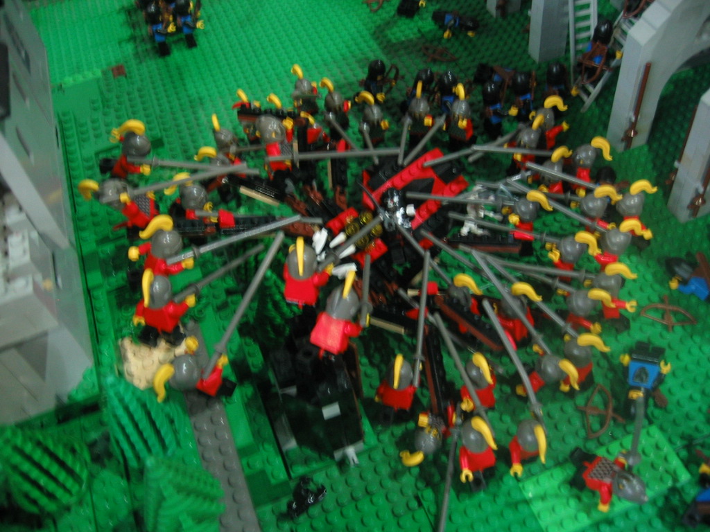 imm_126.jpg