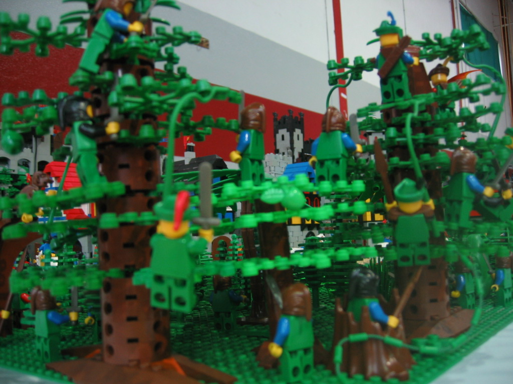 imm_127.jpg