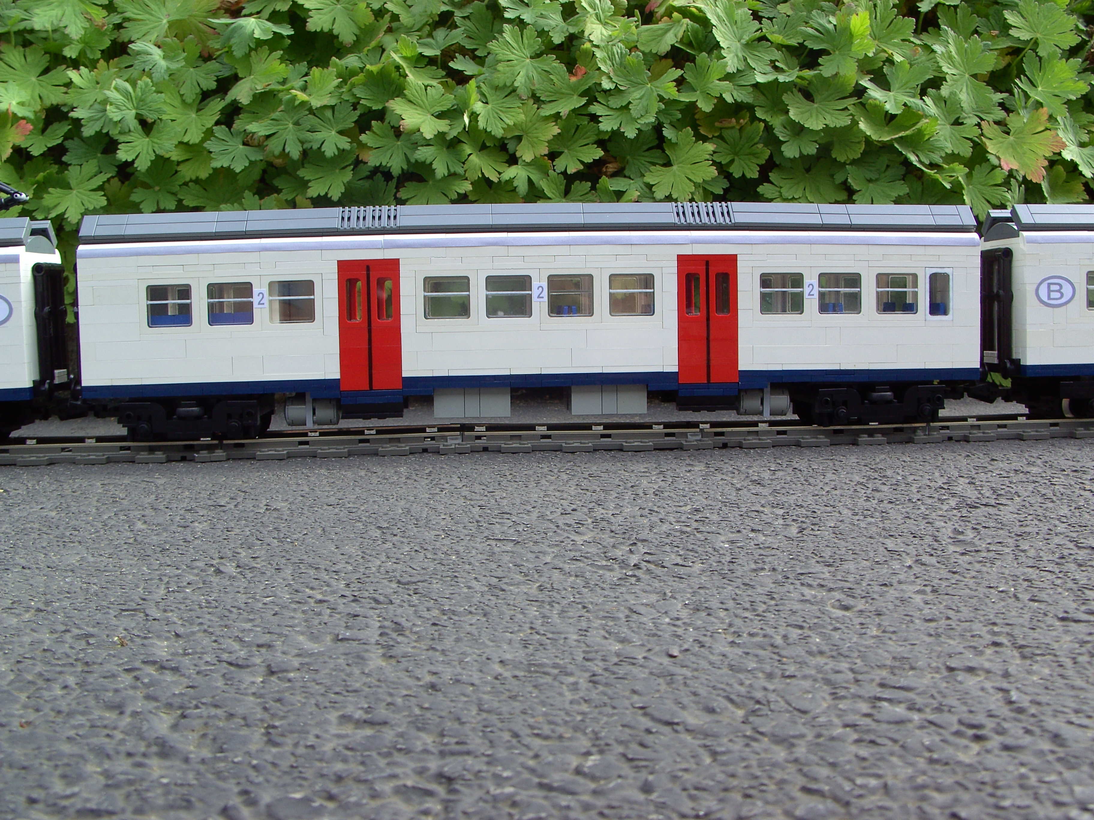 bild2561.jpg