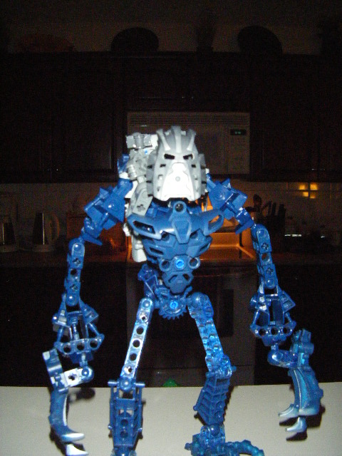 2009_0122bionicle0010.jpg