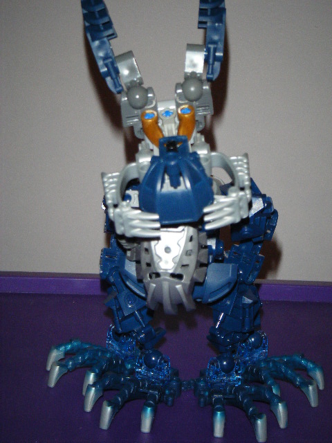 2009_0122bionicle0012.jpg