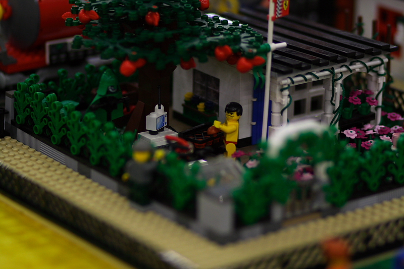 legofanwelt08_198.jpg