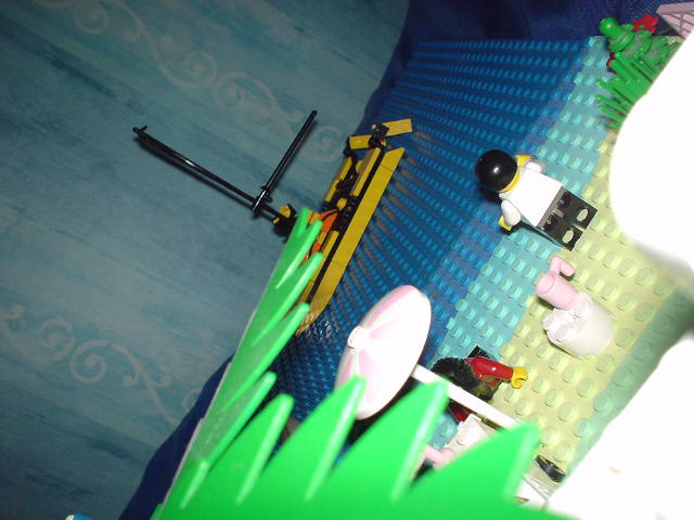 dsc01876.jpg