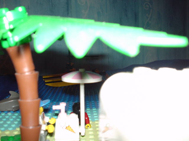 dsc01879.jpg