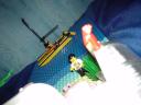 dsc01877.jpg