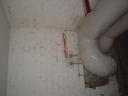 dsc01743.jpg