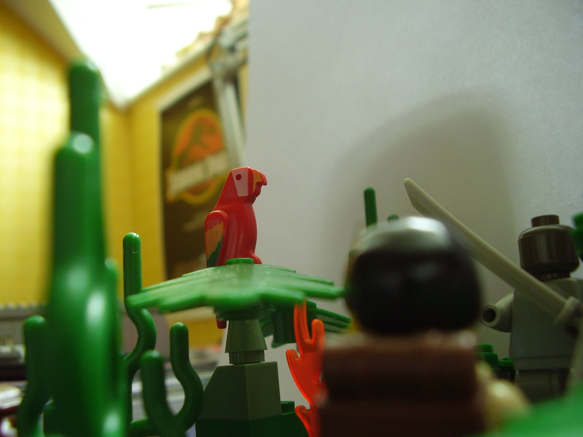 parrot_tree.jpg