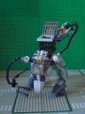 dsc01515.jpg