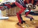 drag_and_rex_006.jpg