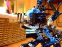 drag_and_rex_011.jpg