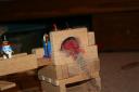 daniel_brickwars_030.jpg