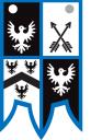 falcin_baner2.bmp
