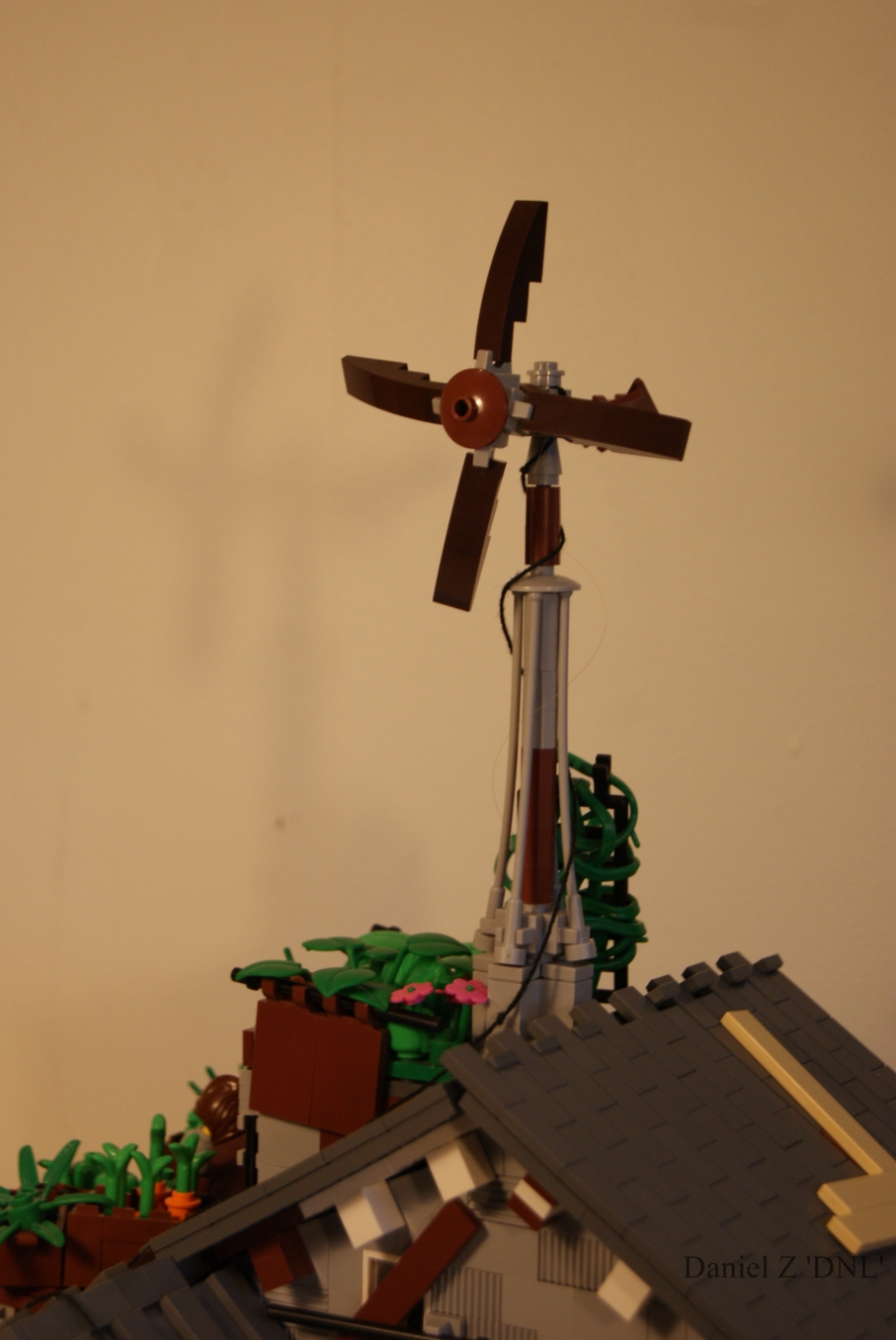 dsc01582.jpg