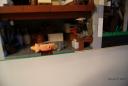 dsc01567.jpg