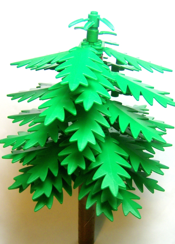 pine.jpg