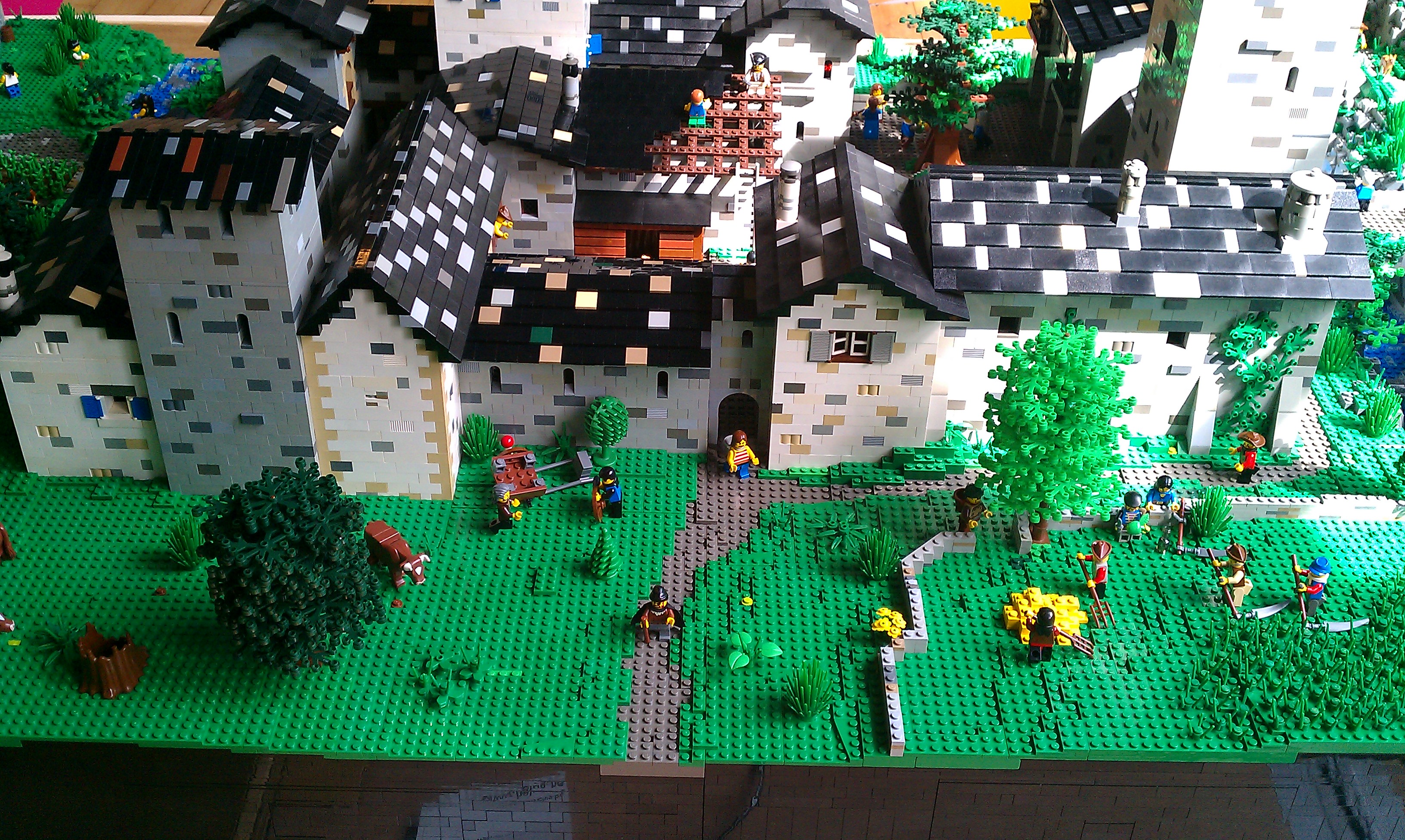 imag0074.jpg