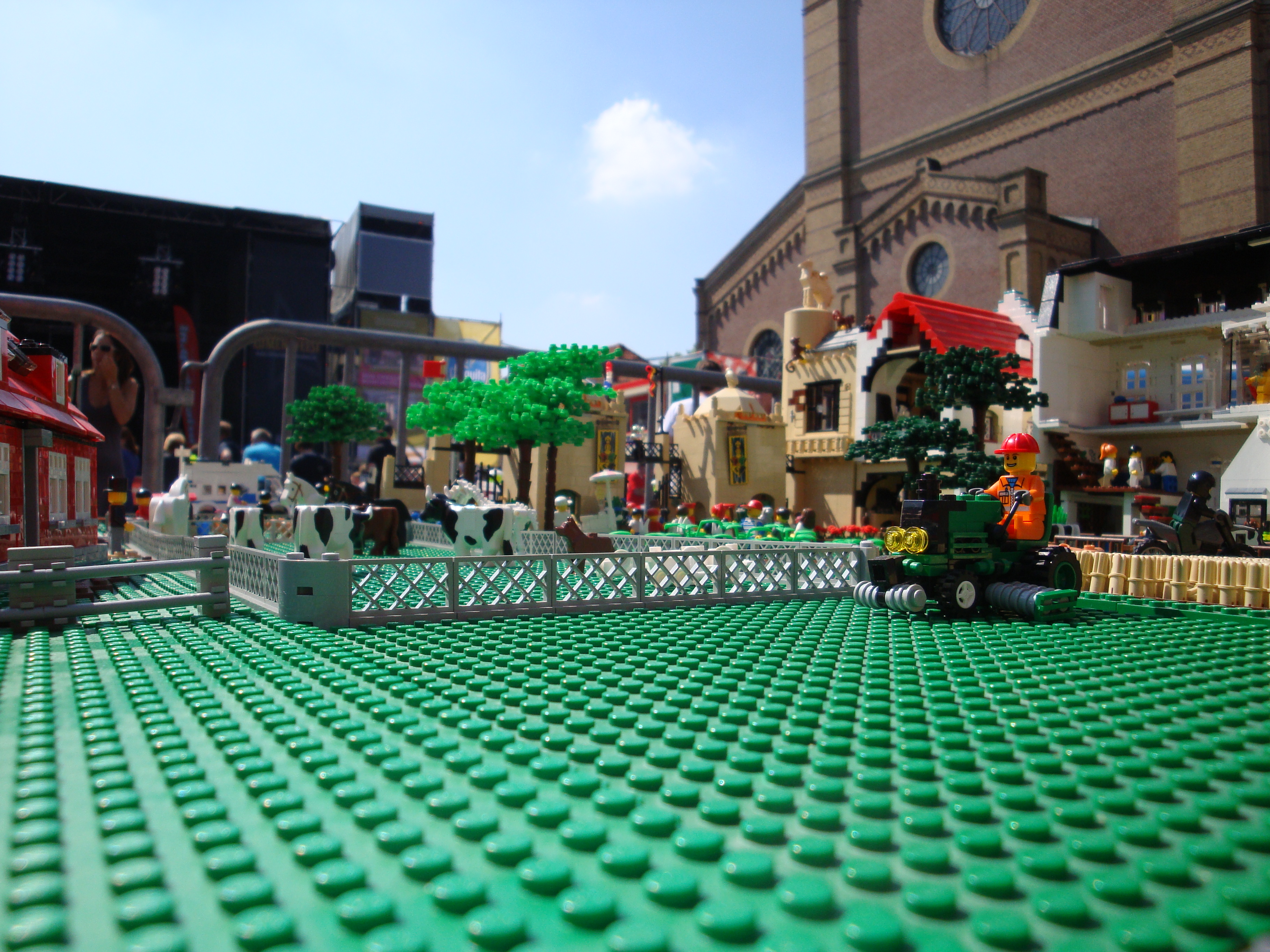 dsc01451.jpg