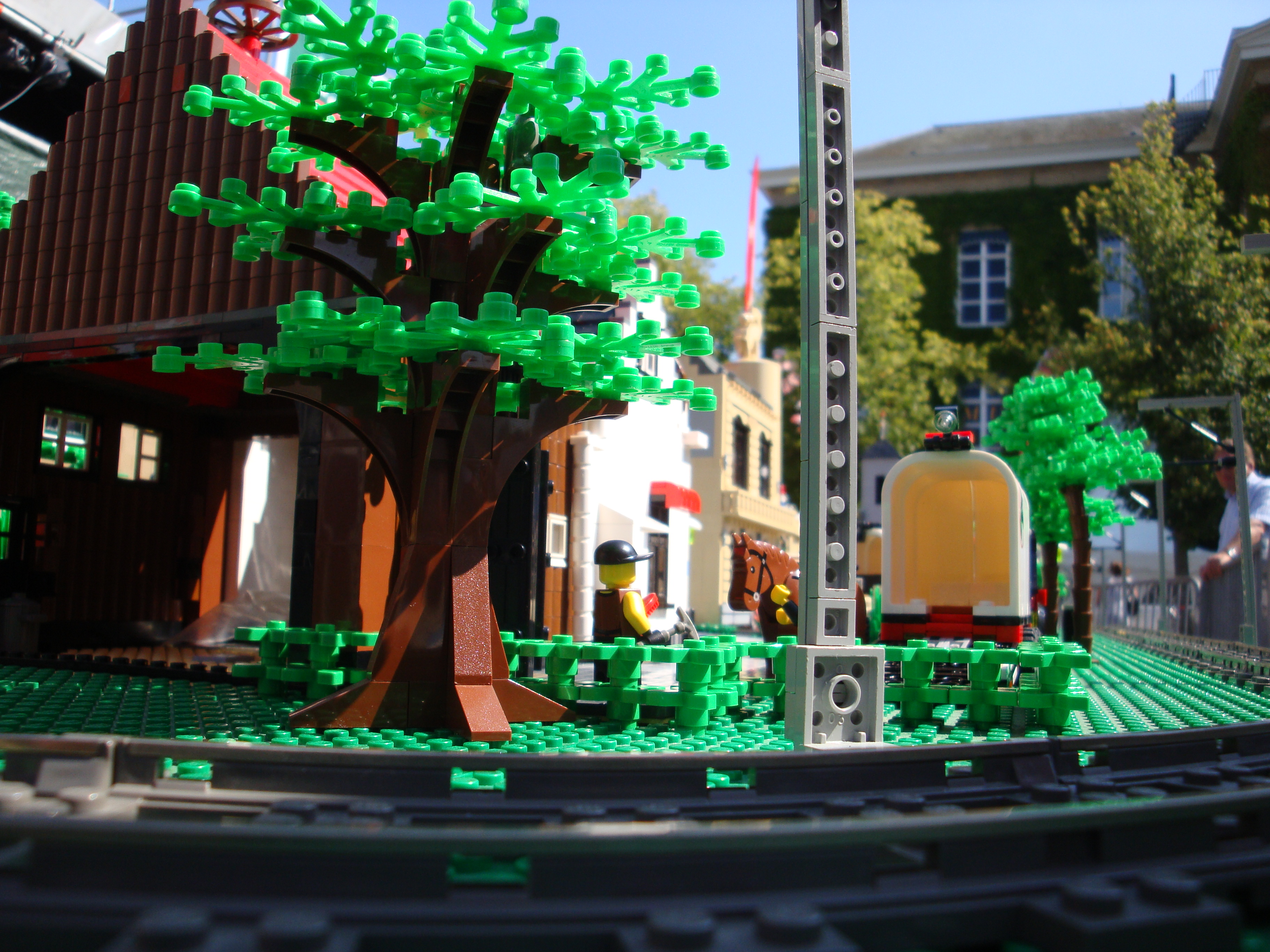 dsc01461.jpg