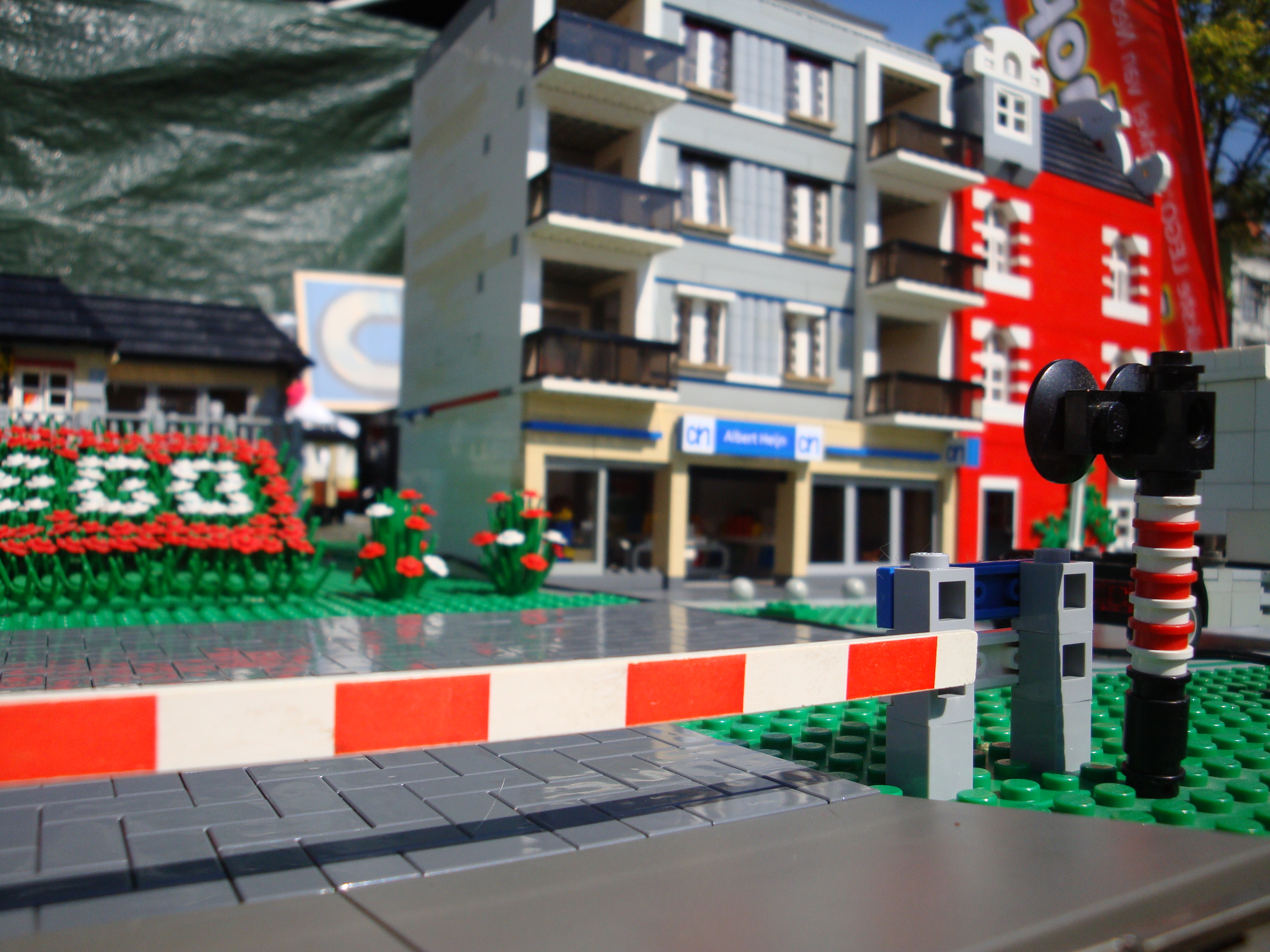 dsc01469.jpg