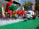 dsc01463.jpg