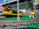 dsc01478.jpg